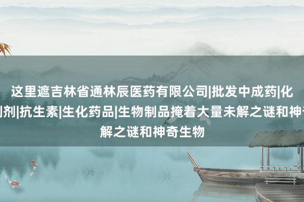 这里遮吉林省通林辰医药有限公司|批发中成药|化学药制剂|抗生素|生化药品|生物制品掩着大量未解之谜和神奇生物